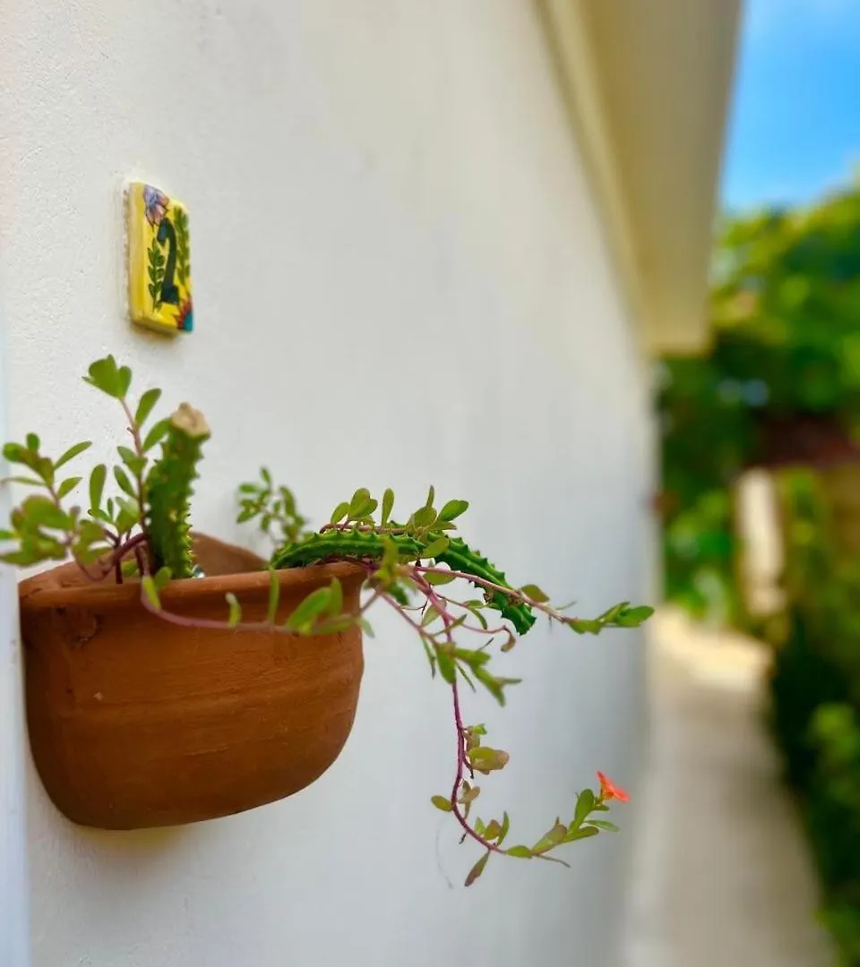 Casa En El Centro De Merida, 5 Habitaciones Y 3 Banos, Ideal Para Grupos Holiday home