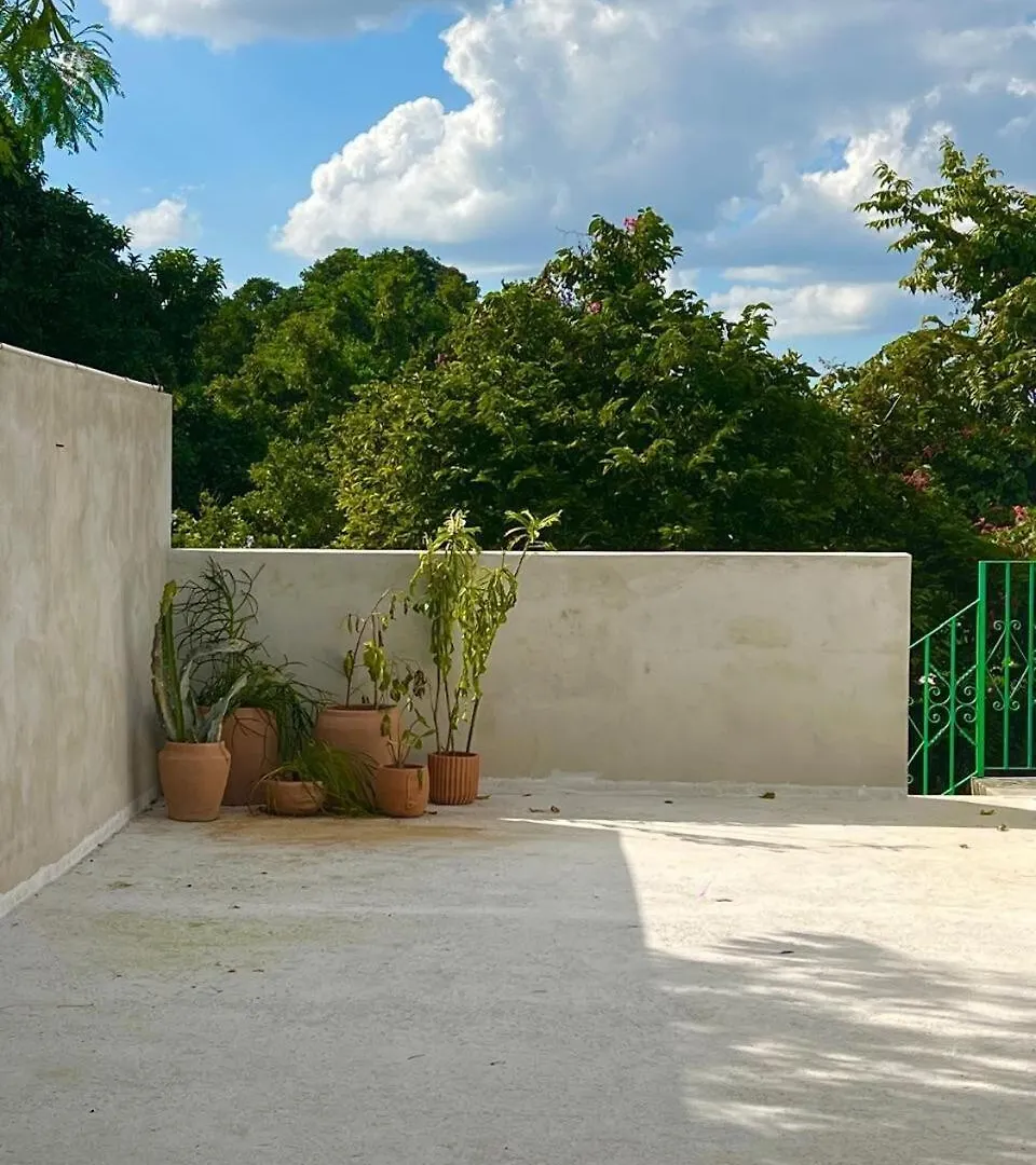 Casa En El Centro De Merida, 5 Habitaciones Y 3 Banos, Ideal Para Grupos Merida